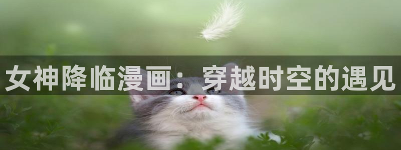 包子漫画最新版下载无广告