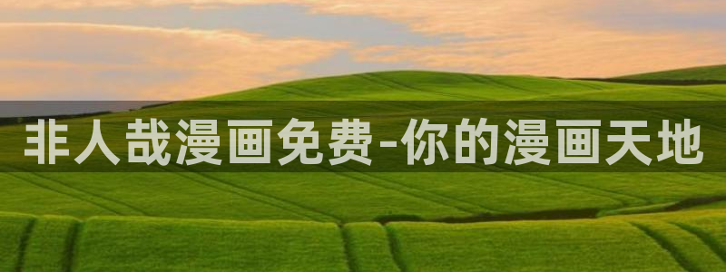 全知读者视角包子漫画